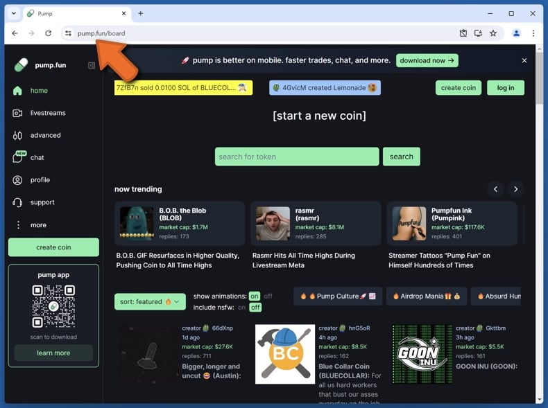 Appearance of the real Pump.fun website (pump.fun)
