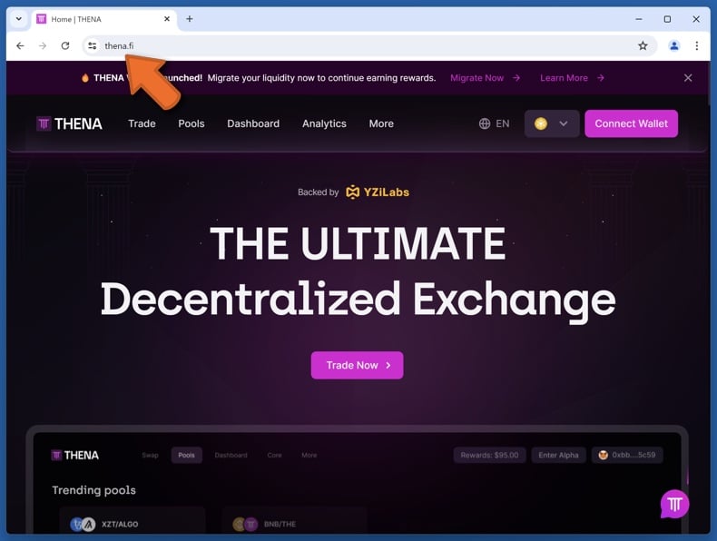 Appearance of the real THENA website (thena.fi)
