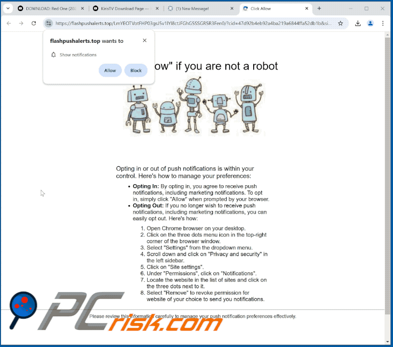 flashpushalerts[.]top website appearance (GIF)