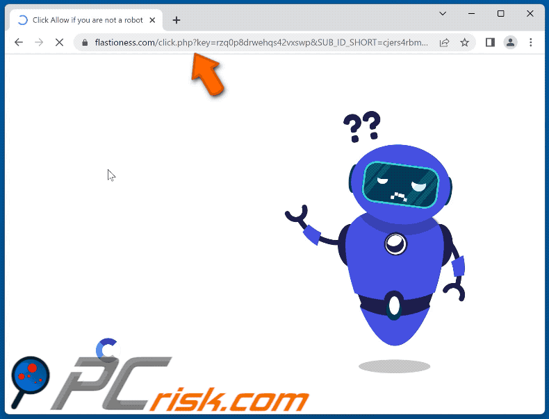 flastioness[.]com website appearance (GIF)