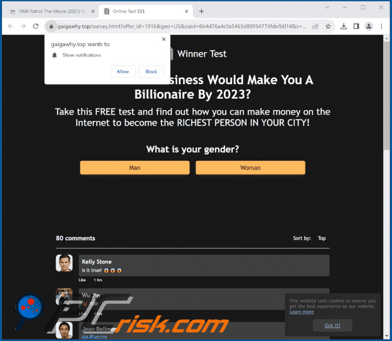 gaigawhy[.]top website appearance (GIF)