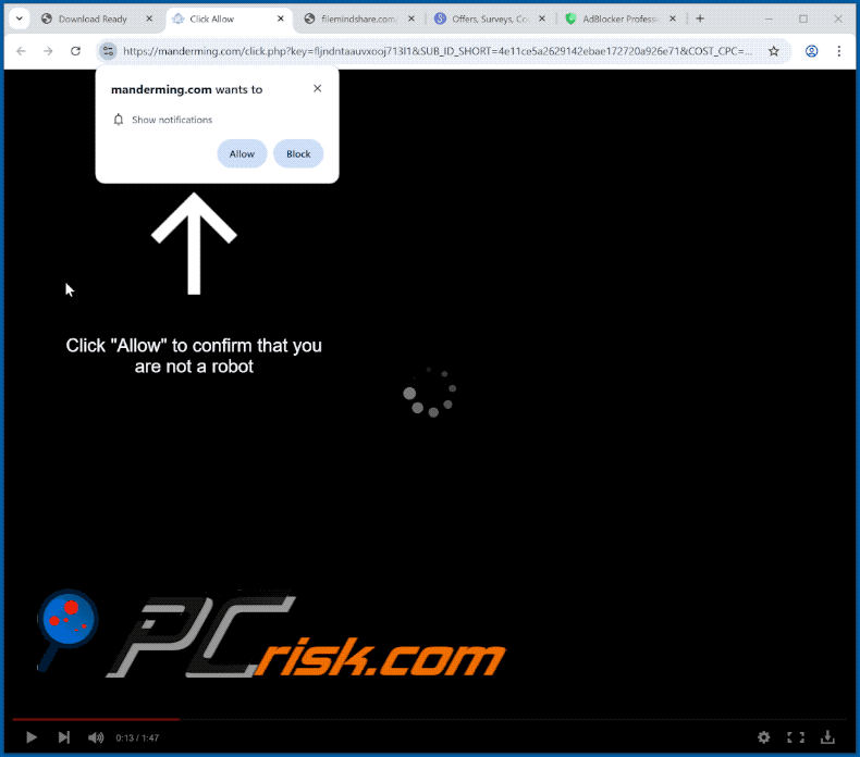 manderming[.]com website appearance (GIF)