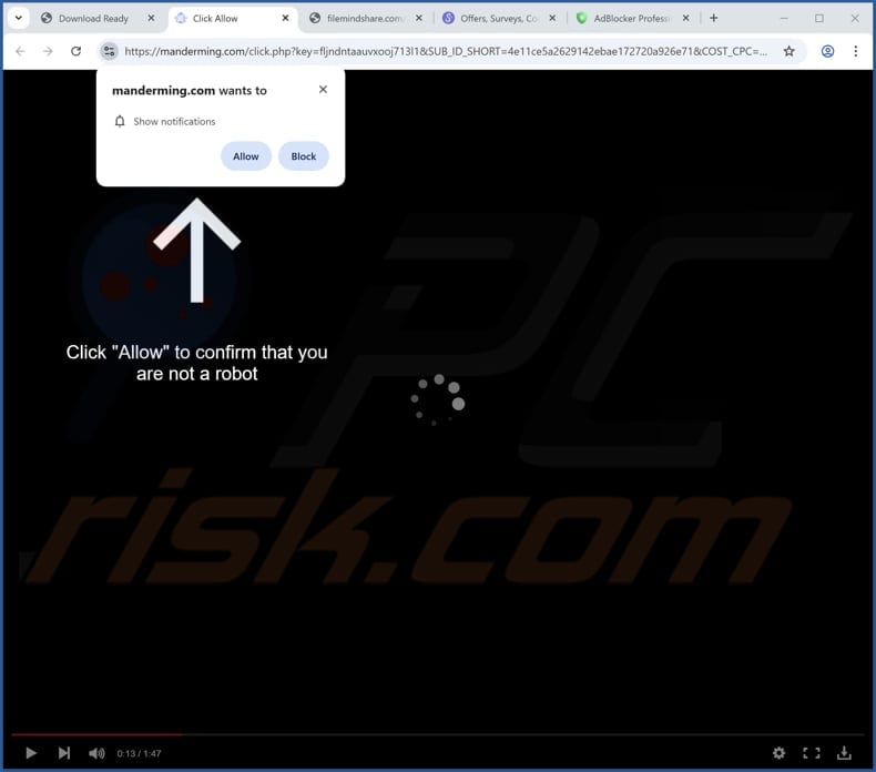 manderming[.]com ads