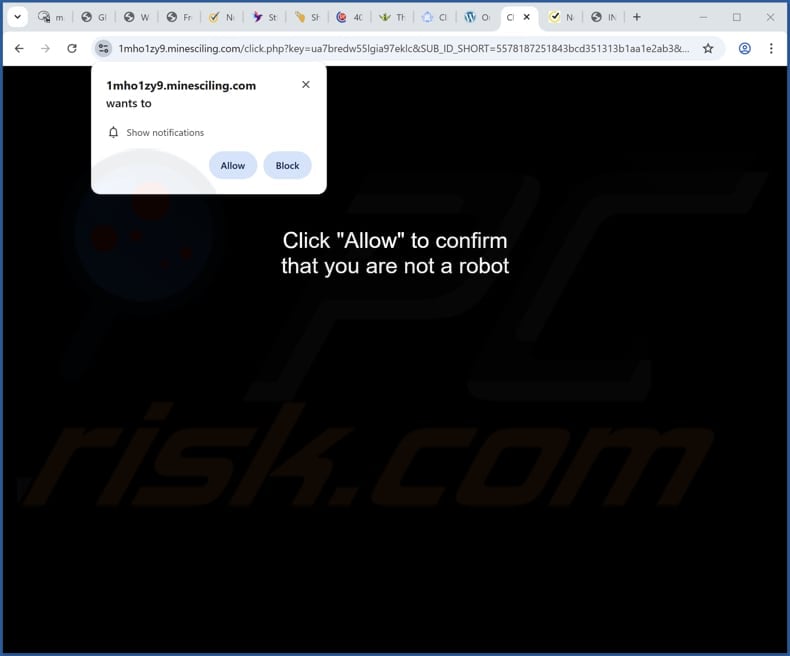 minesciling[.]com ads
