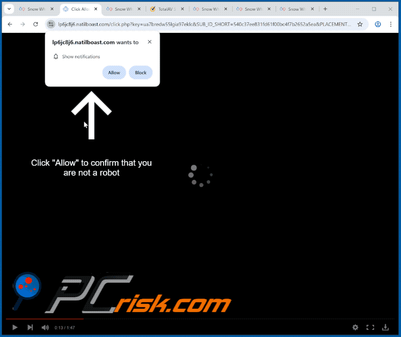 natilboast[.]com website appearance (GIF)