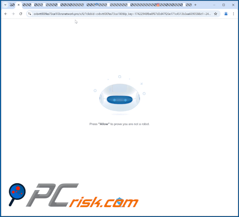 nsnetwork[.]pro website appearance (GIF)