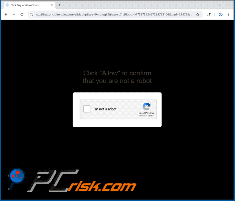 pricipitenoles[.]com website appearance (GIF)