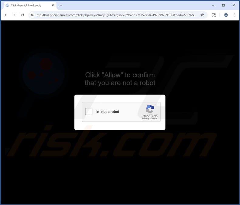 pricipitenoles[.]com ads