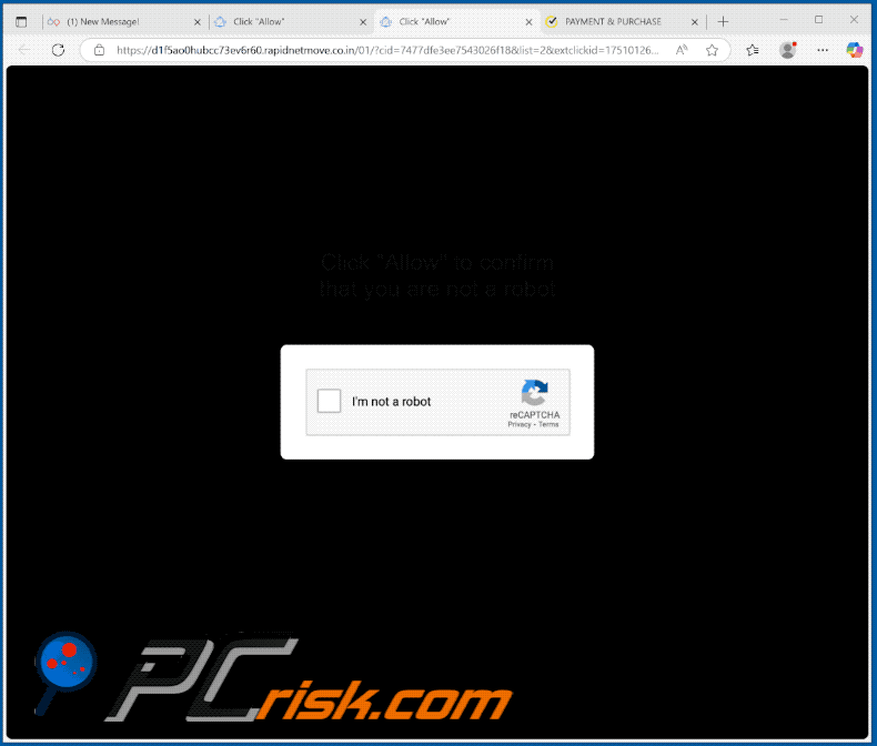 rapidnetmove.co[.]in website appearance (GIF)
