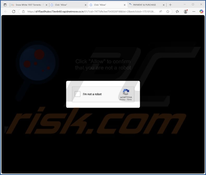 rapidnetmove.co[.]in ads