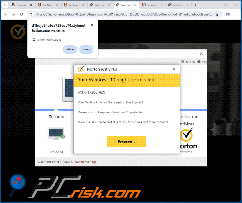 stylenetfusion[.]com website appearance (GIF)
