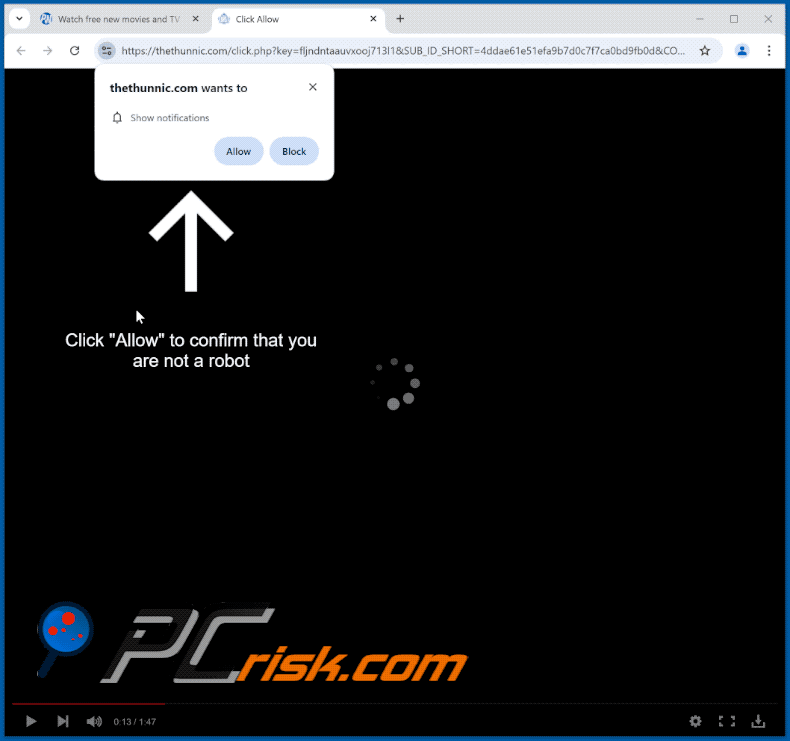 thethunnic[.]com website appearance (GIF)