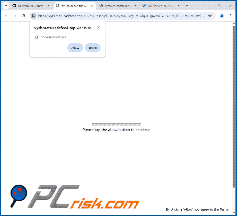 trueadsfeed[.]top website appearance (GIF)