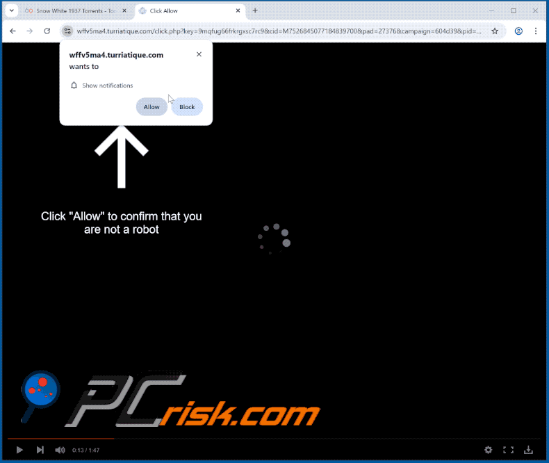 turriatique[.]com website appearance (GIF)