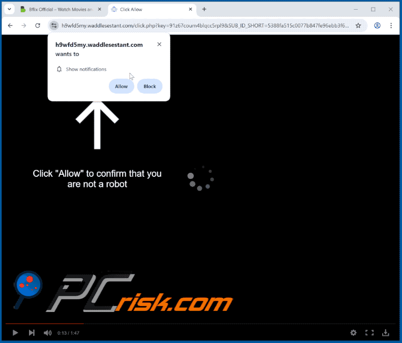 waddlesestant[.]com website appearance (GIF)
