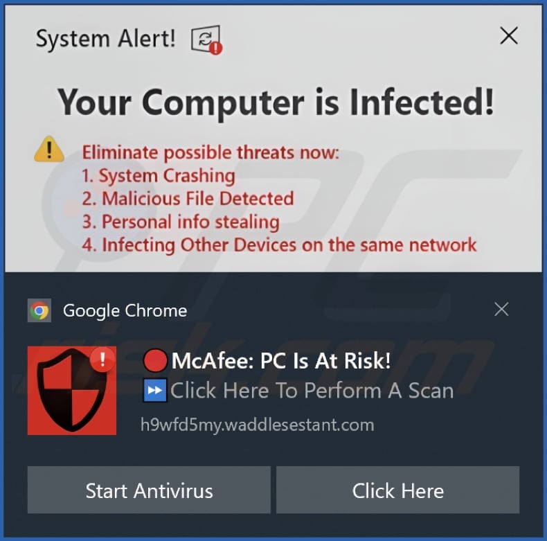 waddlesestant[.]com notification