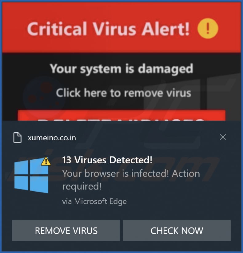 xumeino.co[.]in notification