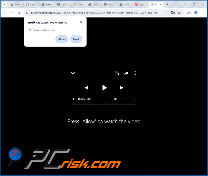 xzcczxxx[.]xyz website appearance (GIF)
