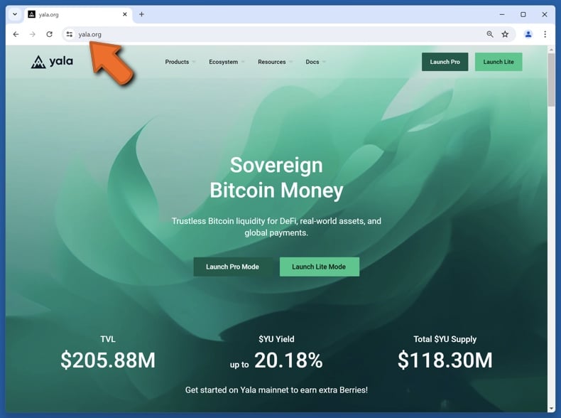 Appearance of the real Yala website (yala.org)
