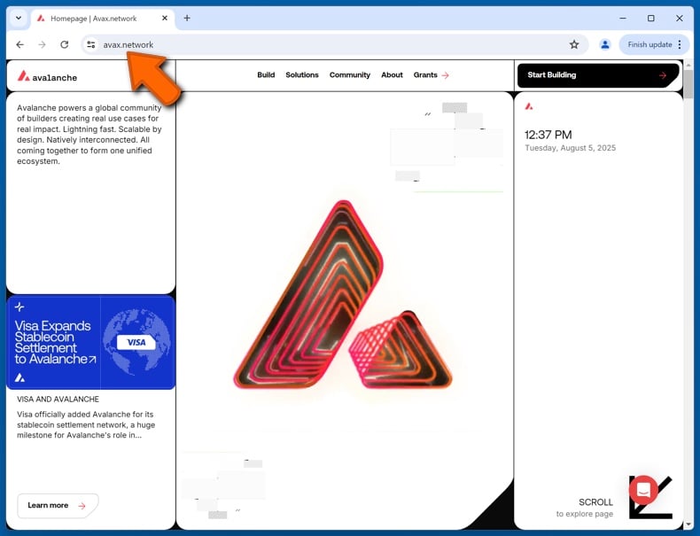 Appearance of the real Avalanche website (avax.network)