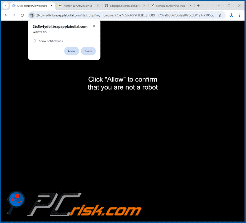 brapapplabolial[.]com website appearance (GIF)