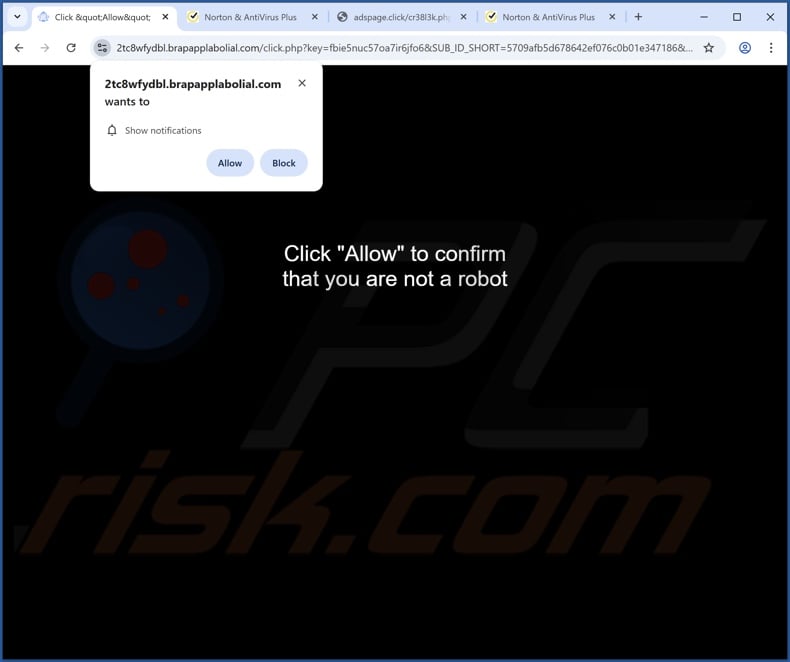 brapapplabolial[.]com pop-up redirects