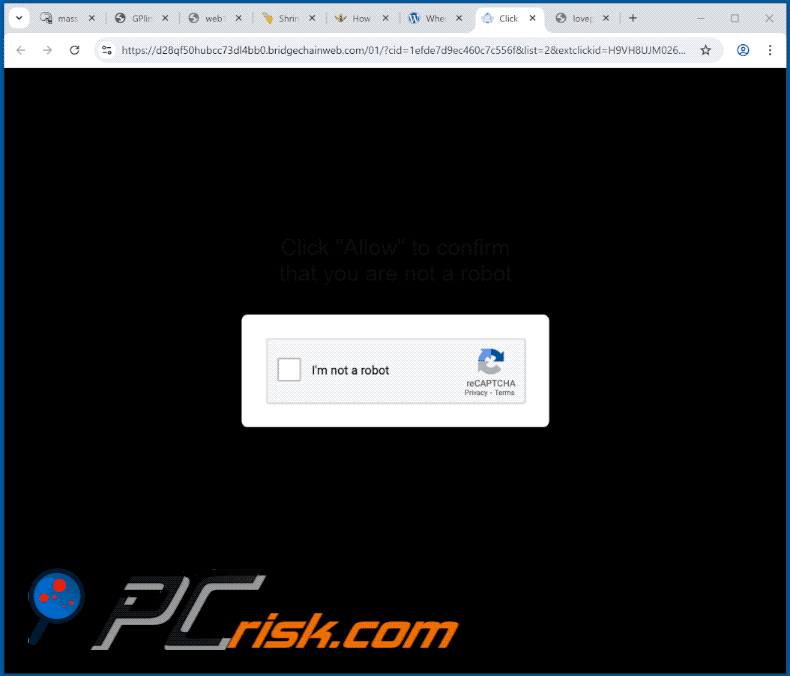 bridgechainweb[.]com website appearance (GIF)