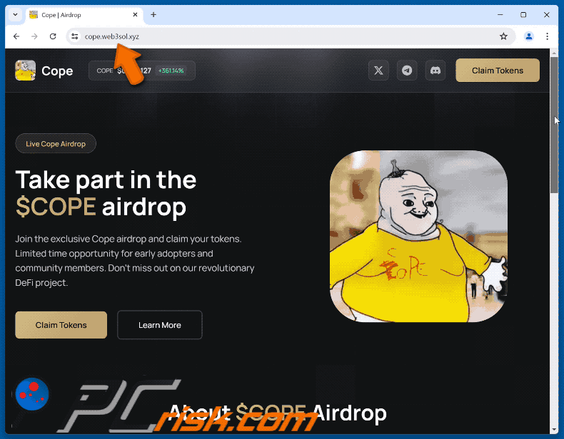 Appearance of the fake $COPE Airdrop website (GIF)