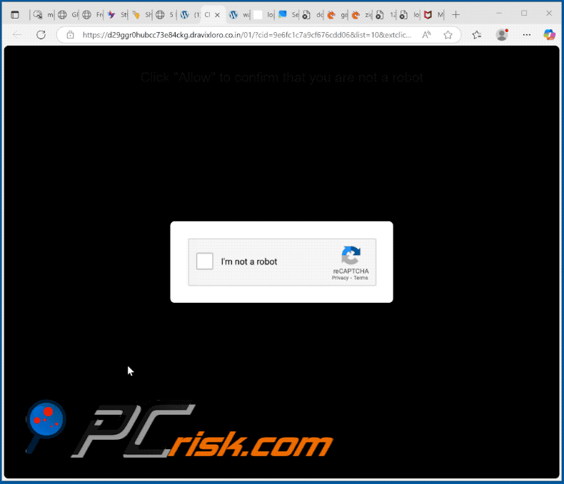 dravixloro.co[.]in website appearance (GIF)