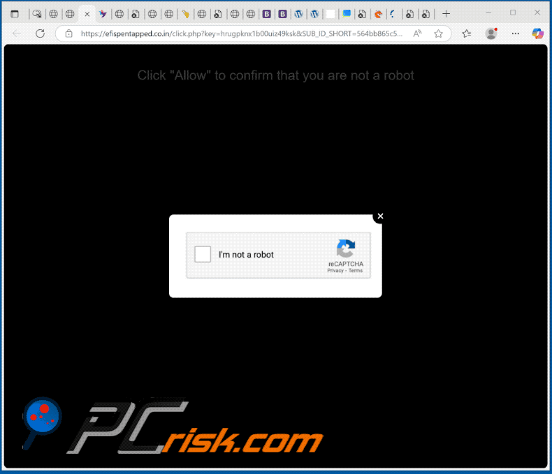 efispentapped.co[.]in website appearance (GIF)