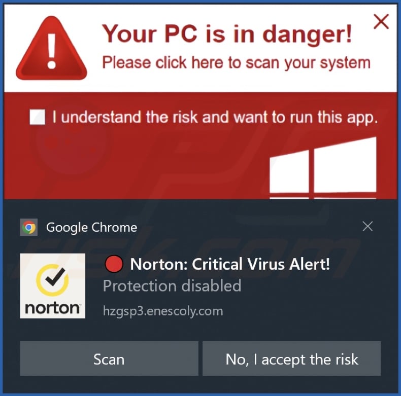 Ad delivered by the enescoly[.]com webpage