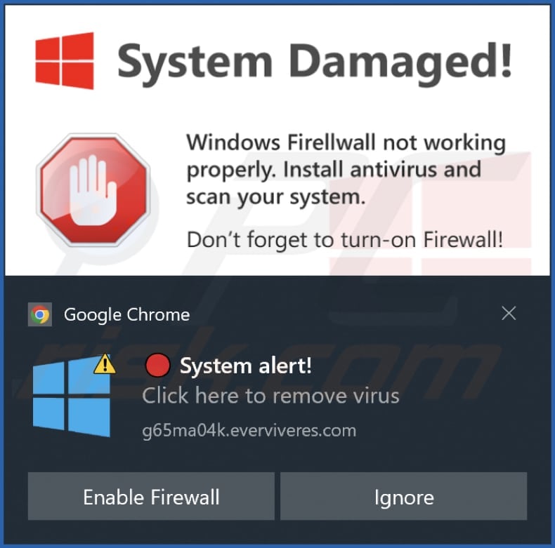 everviveres[.]com notification