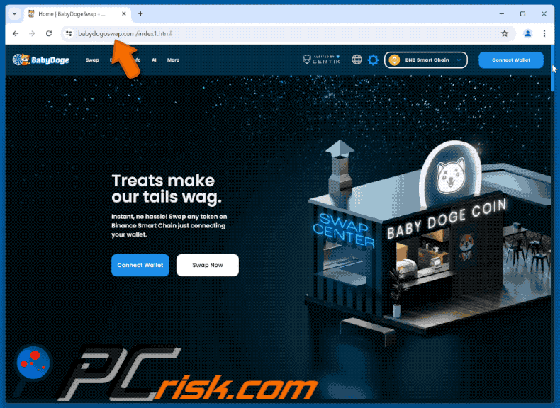 Appearance of the fake BabyDoge website (GIF)