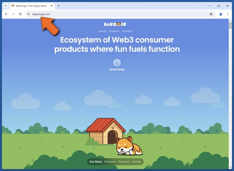 Appearance of the real Baby Doge Coin website (babydoge.com)