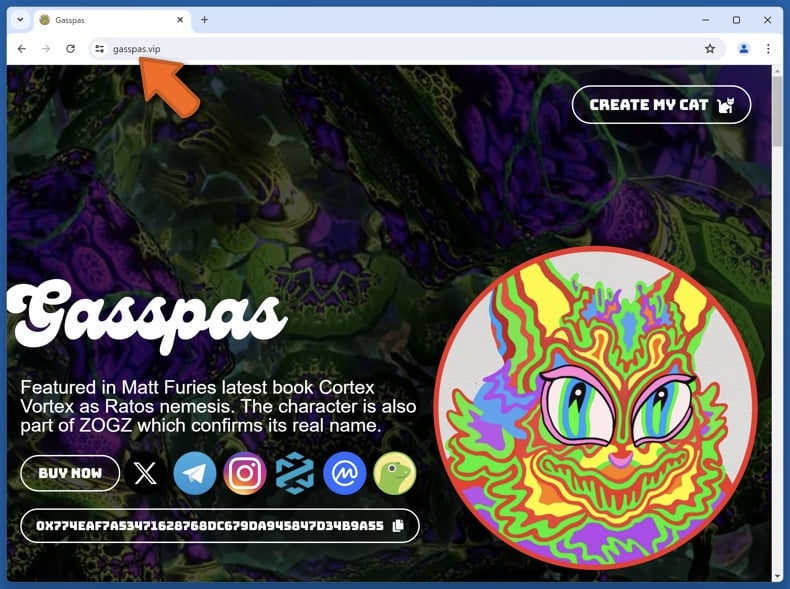 Appearance of the real Gasspas website (gasspas.vip)