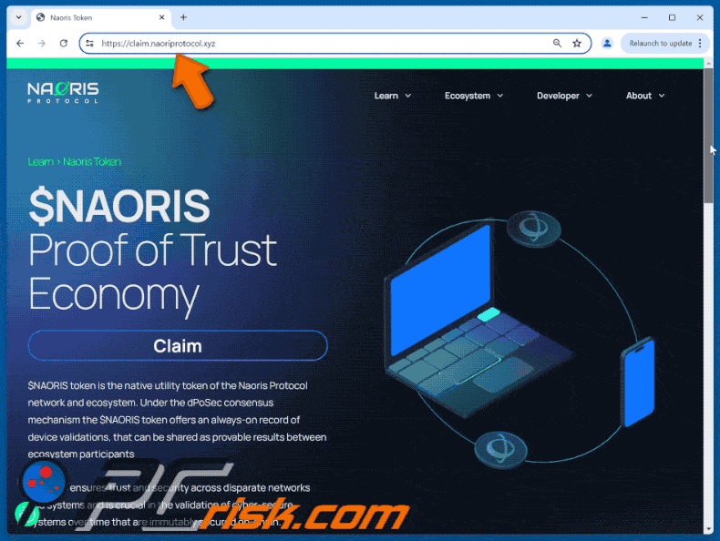 Appearance of Fake Naoris Protocol website scam