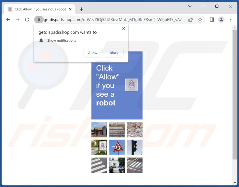 getdispadsshop.com second appearance
