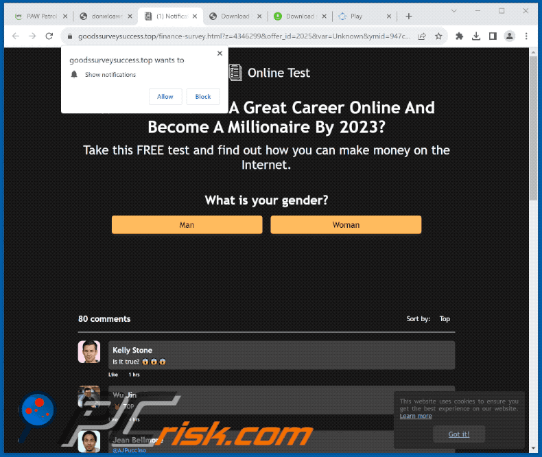 goodssurveysuccess[.]top website appearance (GIF)
