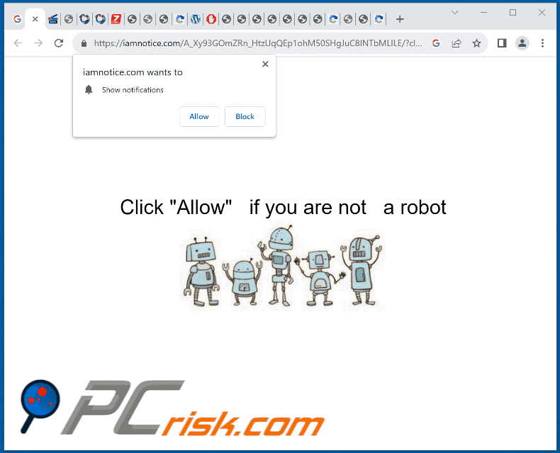 iamnotice[.]com website appearance (GIF)