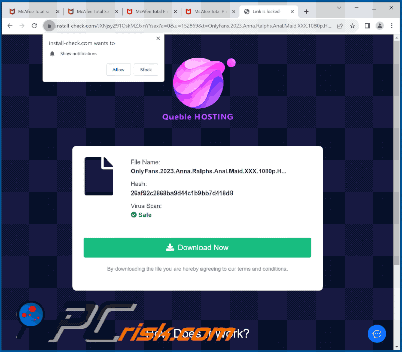 install-check[.]com website appearance (GIF)
