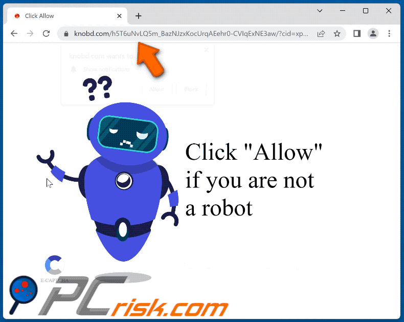 knobd[.]com  website appearance (GIF)