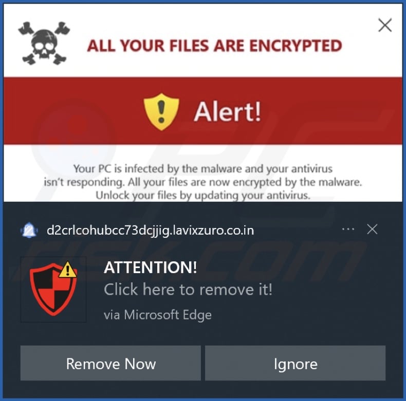 Ad delivered by the lavixzuro.co[.]in webpage