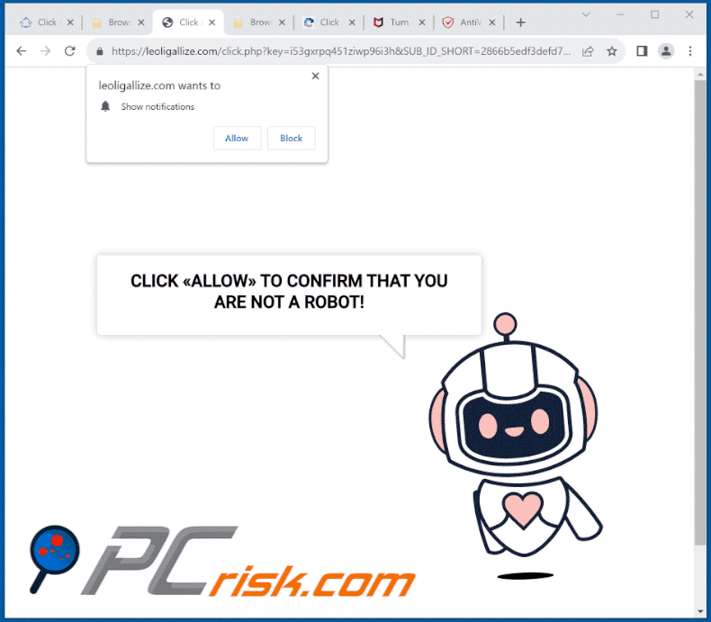 leoligallize[.]com website appearance (GIF)