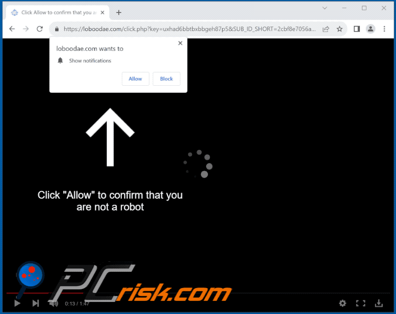 loboodae[.]com website appearance (GIF)