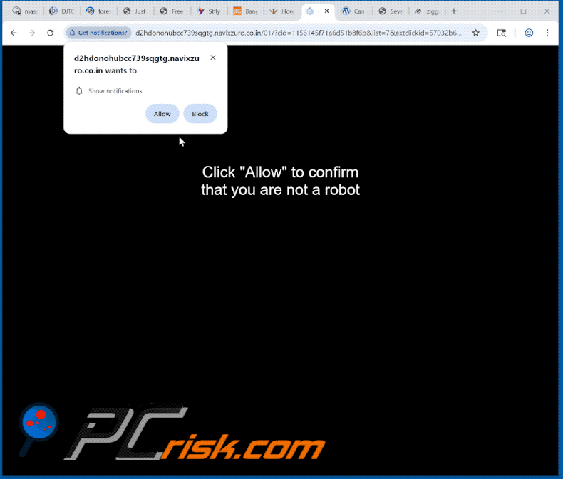 navixzuro.co[.]in website appearance (GIF)