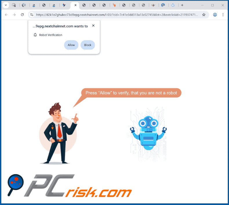 nextchainnet[.]com website appearance (GIF)