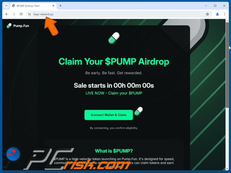 Appearance of the fake $PUMP Airdrop website (GIF)