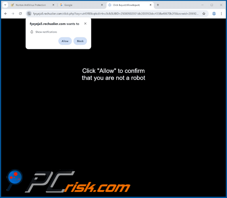 rechuslier[.]com website appearance (GIF)