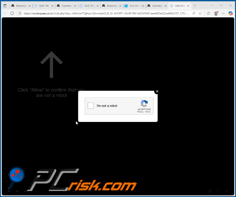 souloquess.co[.]in website appearance (GIF)