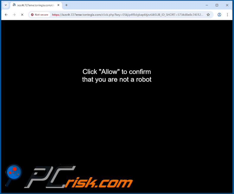 torringla[.]com website appearance (GIF)